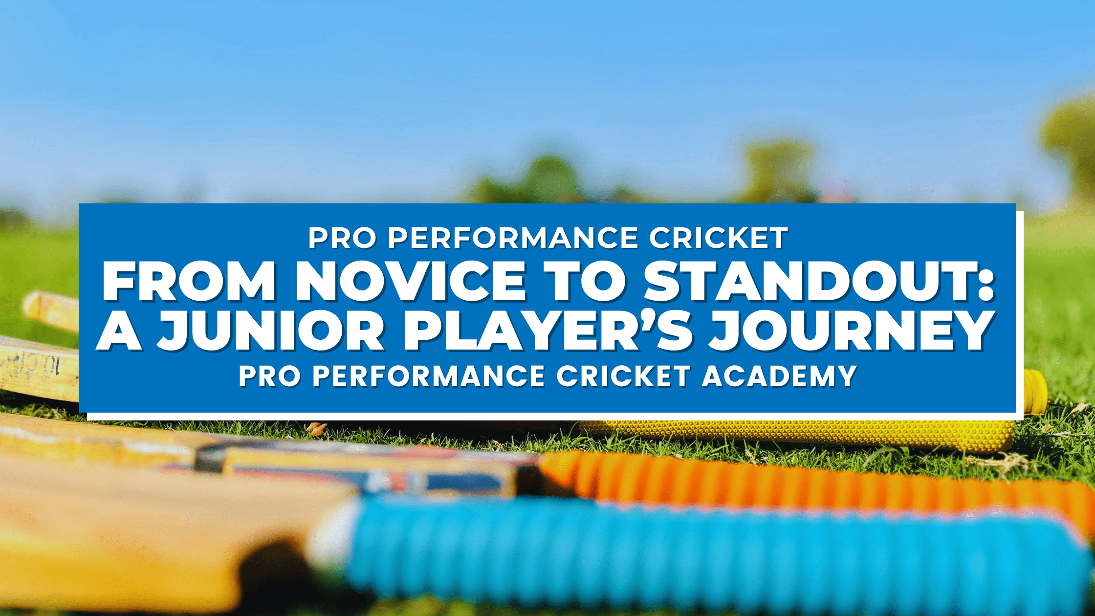 Elite player development cricket training, High performance cricket coaching session, Young cricketer demonstrating skills