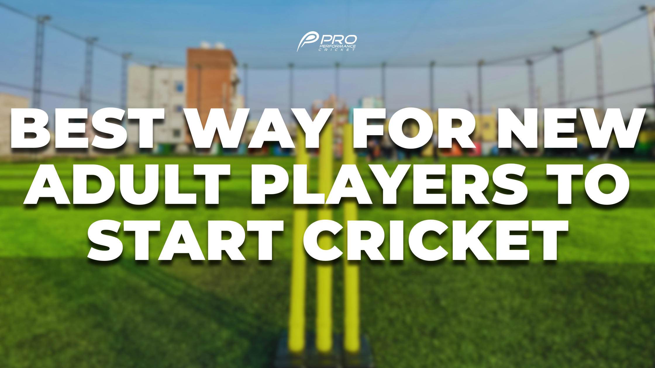 Adult beginner cricket training session with coaching guidance<br />

