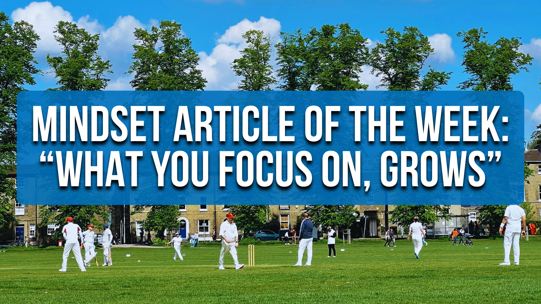 Cricket player practicing with focus and mindset during coaching session<br />
